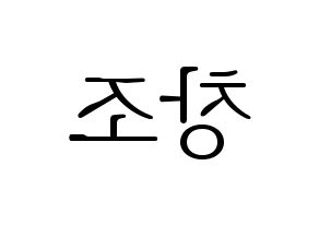 KPOP TEEN TOP(틴탑、ティーントップ) 창조 (チャンジョ) 応援ボード・うちわ　韓国語/ハングル文字型紙 左右反転