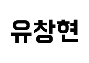 KPOP TEEN TOP(틴탑、ティーントップ) 리키 (リッキー) k-pop アイドル名前 ファンサボード 型紙 通常
