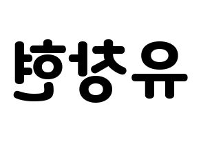 KPOP TEEN TOP(틴탑、ティーントップ) 리키 (リッキー) 応援ボード・うちわ　韓国語/ハングル文字型紙 左右反転