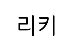 KPOP TEEN TOP(틴탑、ティーントップ) 리키 (リッキー) コンサート用　応援ボード・うちわ　韓国語/ハングル文字型紙 通常