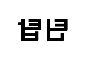 KPOP歌手 TEEN TOP(틴탑、ティーントップ) 応援ボード型紙、うちわ型紙　韓国語/ハングル文字 左右反転