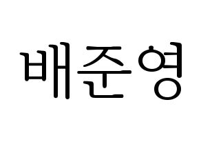 KPOP THE BOYZ(더보이즈、ザ・ボーイズ) 제이콥 (ジェイコブ) 応援ボード・うちわ　韓国語/ハングル文字型紙 通常