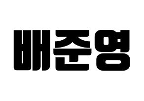 KPOP THE BOYZ(더보이즈、ザ・ボーイズ) 제이콥 (ジェイコブ) コンサート用　応援ボード・うちわ　韓国語/ハングル文字型紙 通常