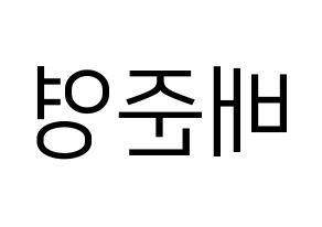 KPOP THE BOYZ(더보이즈、ザ・ボーイズ) 제이콥 (ジェイコブ) プリント用応援ボード型紙、うちわ型紙　韓国語/ハングル文字型紙 左右反転