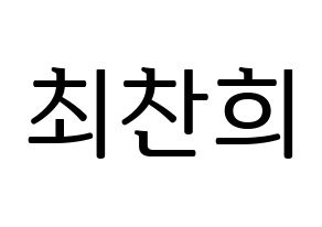 KPOP THE BOYZ(더보이즈、ザ・ボーイズ) 뉴 (ニュー) プリント用応援ボード型紙、うちわ型紙　韓国語/ハングル文字型紙 通常