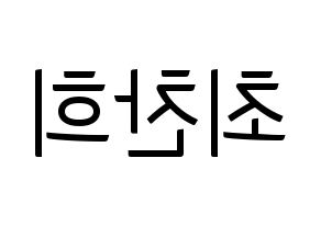 KPOP THE BOYZ(더보이즈、ザ・ボーイズ) 뉴 (ニュー) コンサート用　応援ボード・うちわ　韓国語/ハングル文字型紙 左右反転