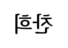 KPOP THE BOYZ(더보이즈、ザ・ボーイズ) 뉴 (ニュー) プリント用応援ボード型紙、うちわ型紙　韓国語/ハングル文字型紙 左右反転