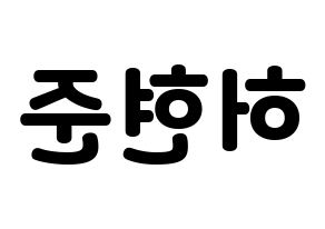 KPOP THE BOYZ(더보이즈、ザ・ボーイズ) 활 (ファル) 応援ボード・うちわ　韓国語/ハングル文字型紙 左右反転
