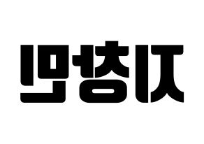 KPOP THE BOYZ(더보이즈、ザ・ボーイズ) 큐 (キュー) コンサート用　応援ボード・うちわ　韓国語/ハングル文字型紙 左右反転