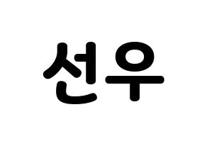 KPOP THE BOYZ(더보이즈、ザ・ボーイズ) 선우 (ソヌ) 応援ボード・うちわ　韓国語/ハングル文字型紙 通常