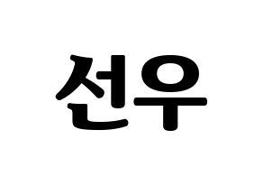KPOP THE BOYZ(더보이즈、ザ・ボーイズ) 선우 (ソヌ) コンサート用　応援ボード・うちわ　韓国語/ハングル文字型紙 通常
