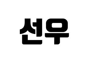 KPOP THE BOYZ(더보이즈、ザ・ボーイズ) 선우 (ソヌ) コンサート用　応援ボード・うちわ　韓国語/ハングル文字型紙 通常