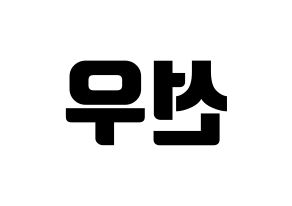 KPOP THE BOYZ(더보이즈、ザ・ボーイズ) 선우 (ソヌ) コンサート用　応援ボード・うちわ　韓国語/ハングル文字型紙 左右反転