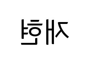 KPOP THE BOYZ(더보이즈、ザ・ボーイズ) 현재 (ヒョンジェ) コンサート用　応援ボード・うちわ　韓国語/ハングル文字型紙 左右反転