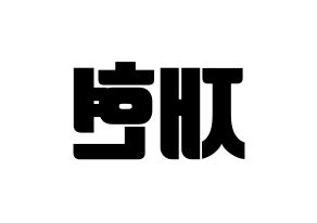 KPOP THE BOYZ(더보이즈、ザ・ボーイズ) 현재 (ヒョンジェ) コンサート用　応援ボード・うちわ　韓国語/ハングル文字型紙 左右反転