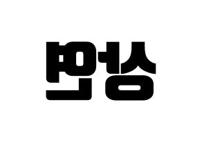 KPOP THE BOYZ(더보이즈、ザ・ボーイズ) 상연 (サンヨン) コンサート用　応援ボード・うちわ　韓国語/ハングル文字型紙 左右反転