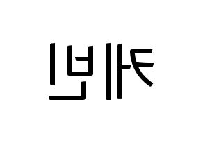 KPOP THE BOYZ(더보이즈、ザ・ボーイズ) 케빈 (ケビン) コンサート用　応援ボード・うちわ　韓国語/ハングル文字型紙 左右反転