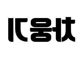 KPOP TOO(티오오、ティーオーオー) 웅기 (ウンギ) コンサート用　応援ボード・うちわ　韓国語/ハングル文字型紙 左右反転