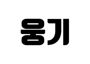 KPOP TOO(티오오、ティーオーオー) 웅기 (ウンギ) コンサート用　応援ボード・うちわ　韓国語/ハングル文字型紙 通常