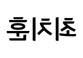 KPOP TOO(티오오、ティーオーオー) 치훈 (チフン) k-pop アイドル名前 ファンサボード 型紙 左右反転