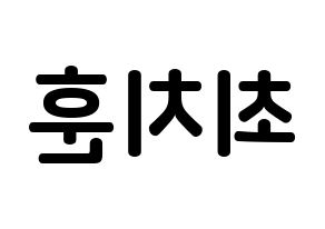 KPOP TOO(티오오、ティーオーオー) 치훈 (チェ･チフン, チフン) k-pop アイドル名前　ボード 言葉 左右反転