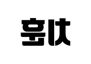 KPOP TOO(티오오、ティーオーオー) 치훈 (チフン) コンサート用　応援ボード・うちわ　韓国語/ハングル文字型紙 左右反転