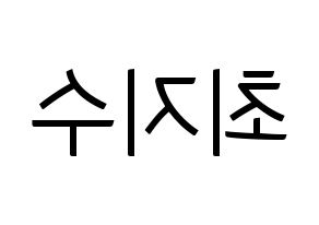 KPOP TOO(티오오、ティーオーオー) 지수 (ジス) コンサート用　応援ボード・うちわ　韓国語/ハングル文字型紙 左右反転