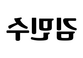 KPOP TOO(티오오、ティーオーオー) 민수 (ミンス) コンサート用　応援ボード・うちわ　韓国語/ハングル文字型紙 左右反転