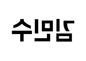 KPOP TOO(티오오、ティーオーオー) 민수 (ミンス) k-pop アイドル名前 ファンサボード 型紙 左右反転