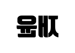 KPOP TOO(티오오、ティーオーオー) 재윤 (ジェユン) コンサート用　応援ボード・うちわ　韓国語/ハングル文字型紙 左右反転