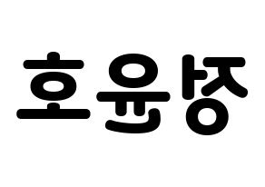 KPOP TVXQ(동방신기、東方神起) 유노윤호 (ユンホ) 応援ボード・うちわ　韓国語/ハングル文字型紙 左右反転