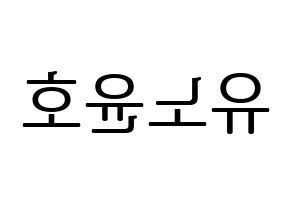KPOP TVXQ(동방신기、東方神起) 유노윤호 (ユンホ) プリント用応援ボード型紙、うちわ型紙　韓国語/ハングル文字型紙 左右反転