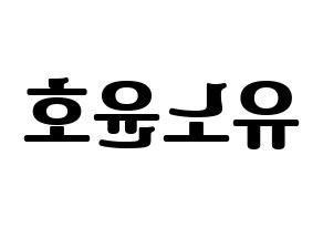 KPOP TVXQ(동방신기、東方神起) 유노윤호 (ユンホ) コンサート用　応援ボード・うちわ　韓国語/ハングル文字型紙 左右反転