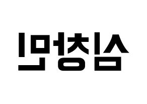 KPOP TVXQ(동방신기、東方神起) 최강창민 (チャンミン) k-pop アイドル名前 ファンサボード 型紙 左右反転