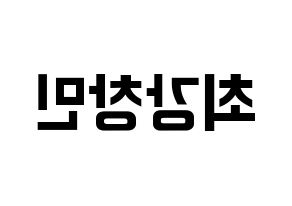 KPOP TVXQ(동방신기、東方神起) 최강창민 (チャンミン) k-pop アイドル名前 ファンサボード 型紙 左右反転