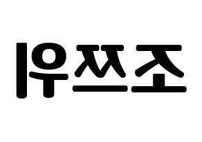 KPOP Twice(트와이스、トゥワイス) 쯔위 (ツウィ) コンサート用　応援ボード・うちわ　韓国語/ハングル文字型紙 左右反転