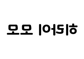 KPOP Twice(트와이스、トゥワイス) 모모 (モモ) 応援ボード・うちわ　韓国語/ハングル文字型紙 左右反転