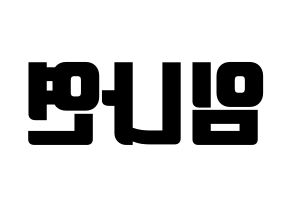 KPOP Twice(트와이스、トゥワイス) 나연 (ナヨン) コンサート用　応援ボード・うちわ　韓国語/ハングル文字型紙 左右反転
