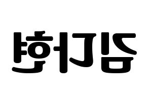 KPOP Twice(트와이스、トゥワイス) 다현 (ダヒョン) コンサート用　応援ボード・うちわ　韓国語/ハングル文字型紙 左右反転