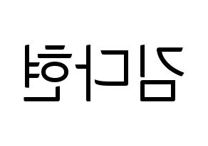 KPOP Twice(트와이스、トゥワイス) 다현 (ダヒョン) コンサート用　応援ボード・うちわ　韓国語/ハングル文字型紙 左右反転