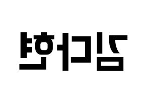 KPOP Twice(트와이스、トゥワイス) 다현 (ダヒョン) k-pop アイドル名前 ファンサボード 型紙 左右反転