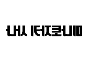 KPOP Twice(트와이스、トゥワイス) 사나 (サナ) コンサート用　応援ボード・うちわ　韓国語/ハングル文字型紙 左右反転