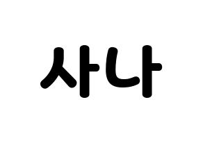 KPOP Twice(트와이스、トゥワイス) 사나 (サナ) 応援ボード・うちわ　韓国語/ハングル文字型紙 通常