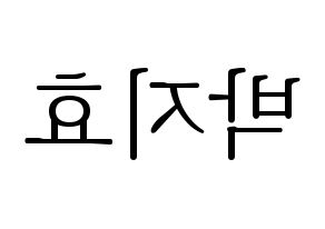 KPOP Twice(트와이스、トゥワイス) 지효 (ジヒョ) 応援ボード・うちわ　韓国語/ハングル文字型紙 左右反転