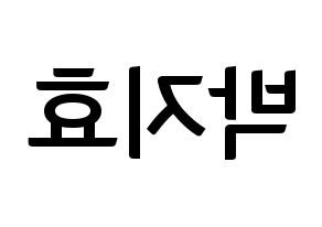 KPOP Twice(트와이스、トゥワイス) 지효 (ジヒョ) k-pop アイドル名前 ファンサボード 型紙 左右反転