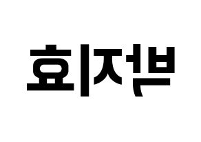 KPOP Twice(트와이스、トゥワイス) 지효 (ジヒョ) k-pop アイドル名前 ファンサボード 型紙 左右反転