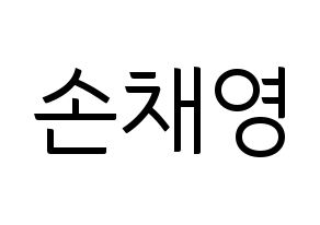 KPOP Twice(트와이스、トゥワイス) 채영 (チェヨン) コンサート用　応援ボード・うちわ　韓国語/ハングル文字型紙 通常