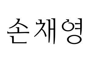 KPOP Twice(트와이스、トゥワイス) 채영 (チェヨン) 応援ボード・うちわ　韓国語/ハングル文字型紙 通常