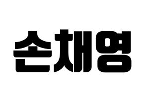 KPOP Twice(트와이스、トゥワイス) 채영 (チェヨン) コンサート用　応援ボード・うちわ　韓国語/ハングル文字型紙 通常
