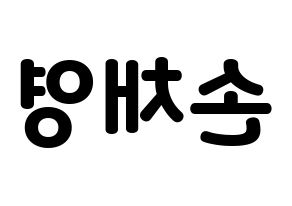 KPOP Twice(트와이스、トゥワイス) 채영 (チェヨン) 応援ボード・うちわ　韓国語/ハングル文字型紙 左右反転
